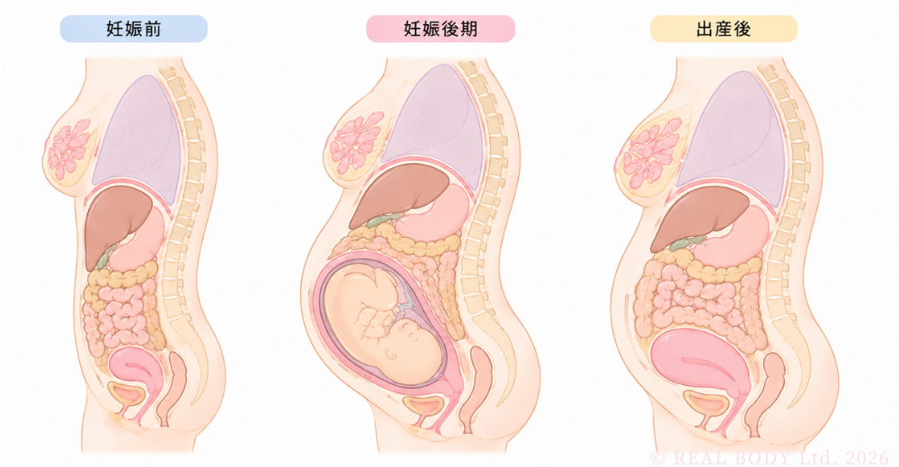「呼吸」を整えると、なぜ産後の身体はラクになるの？